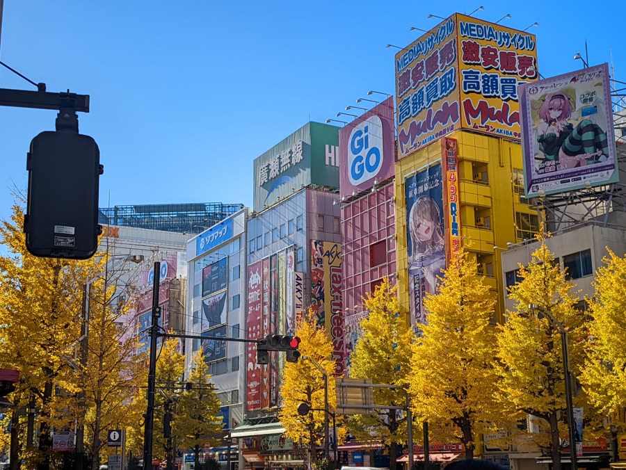 看板が並ぶ街