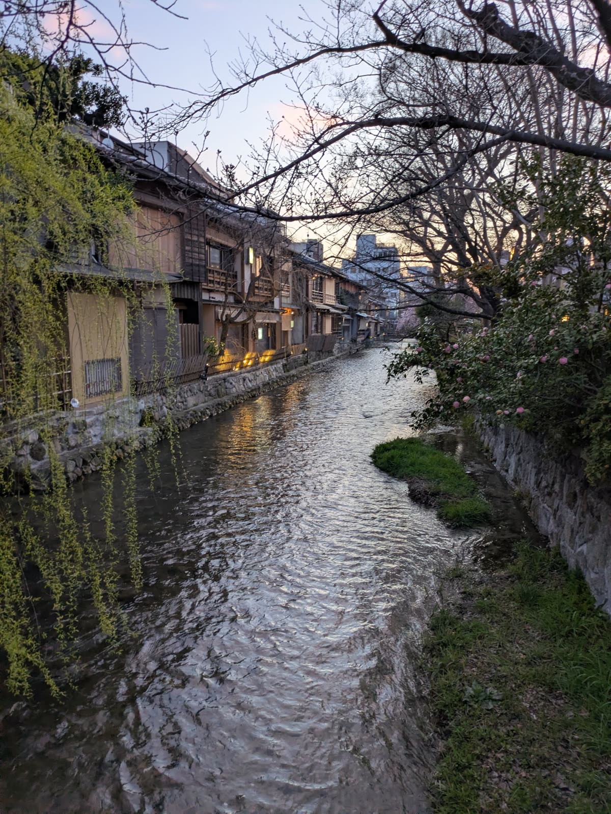 川沿いに古い家並みが続く日本の町